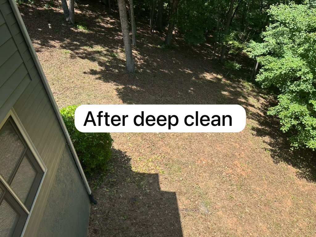 Leaf blowing and seasonal yard cleanup